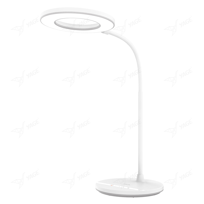 LED Desk Lamp