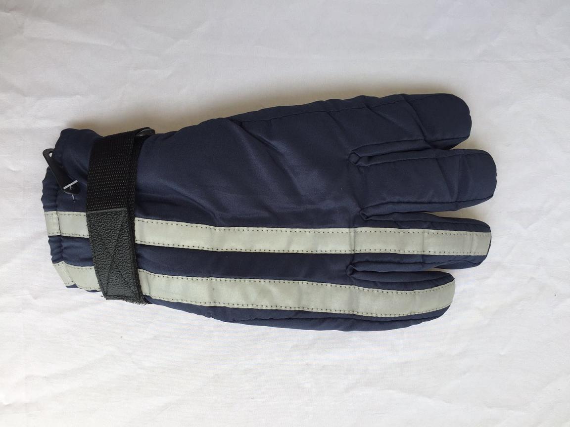 Ski Gloves