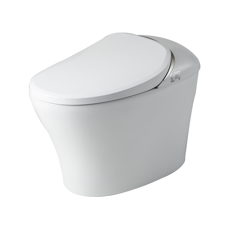 Bravat Maple Autumn Series Floor Mounted Intelligent Toilet without Cistern smart intelligent toile