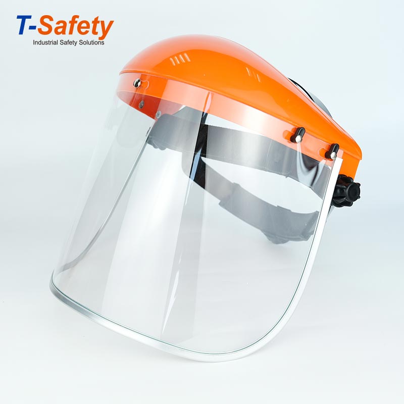 Face Shield