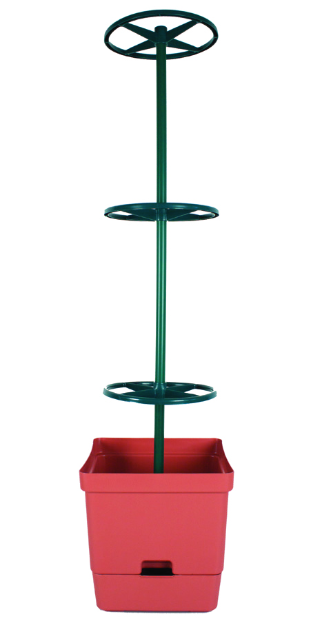 Tomato Tower