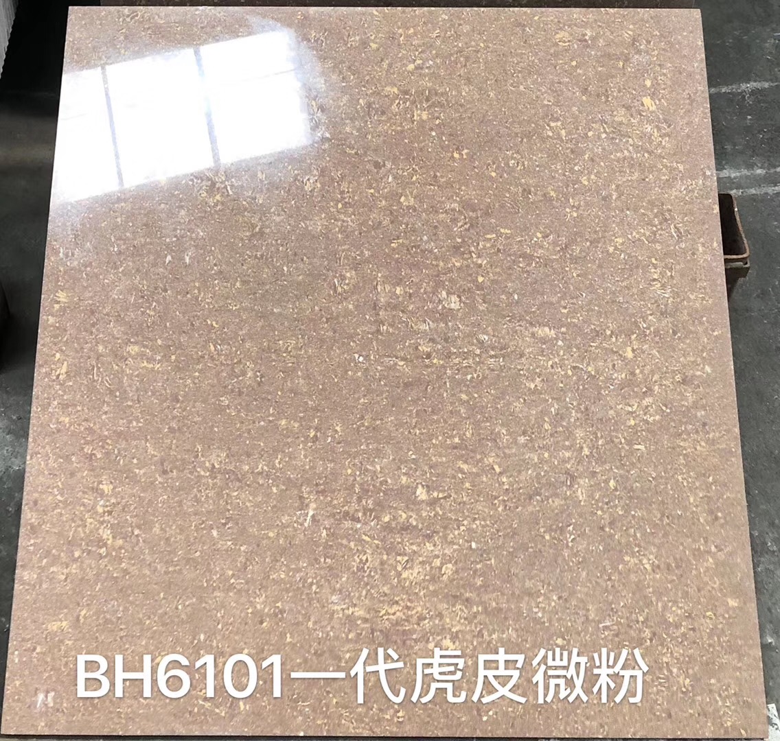 Double Loading Polished Tile-BS6206J