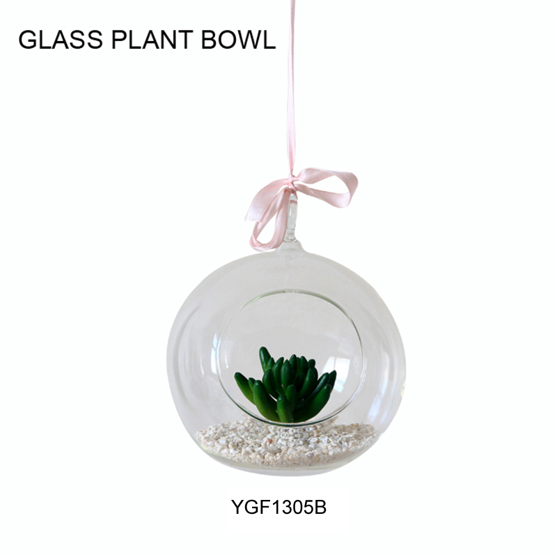 Glass Plant Bowl