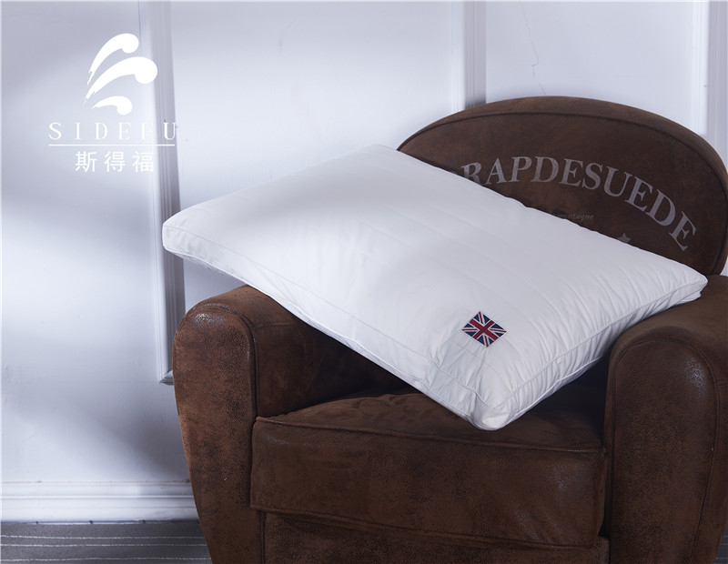 European Microfiber Pillow