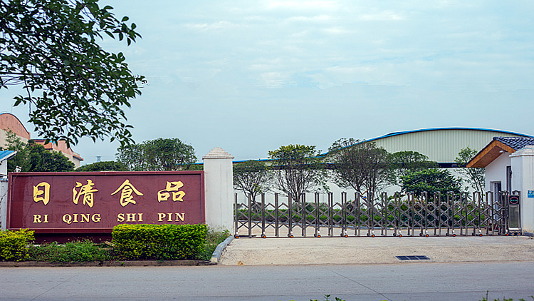 Guilin Nissin Food Co., Ltd. – Other fast food 1