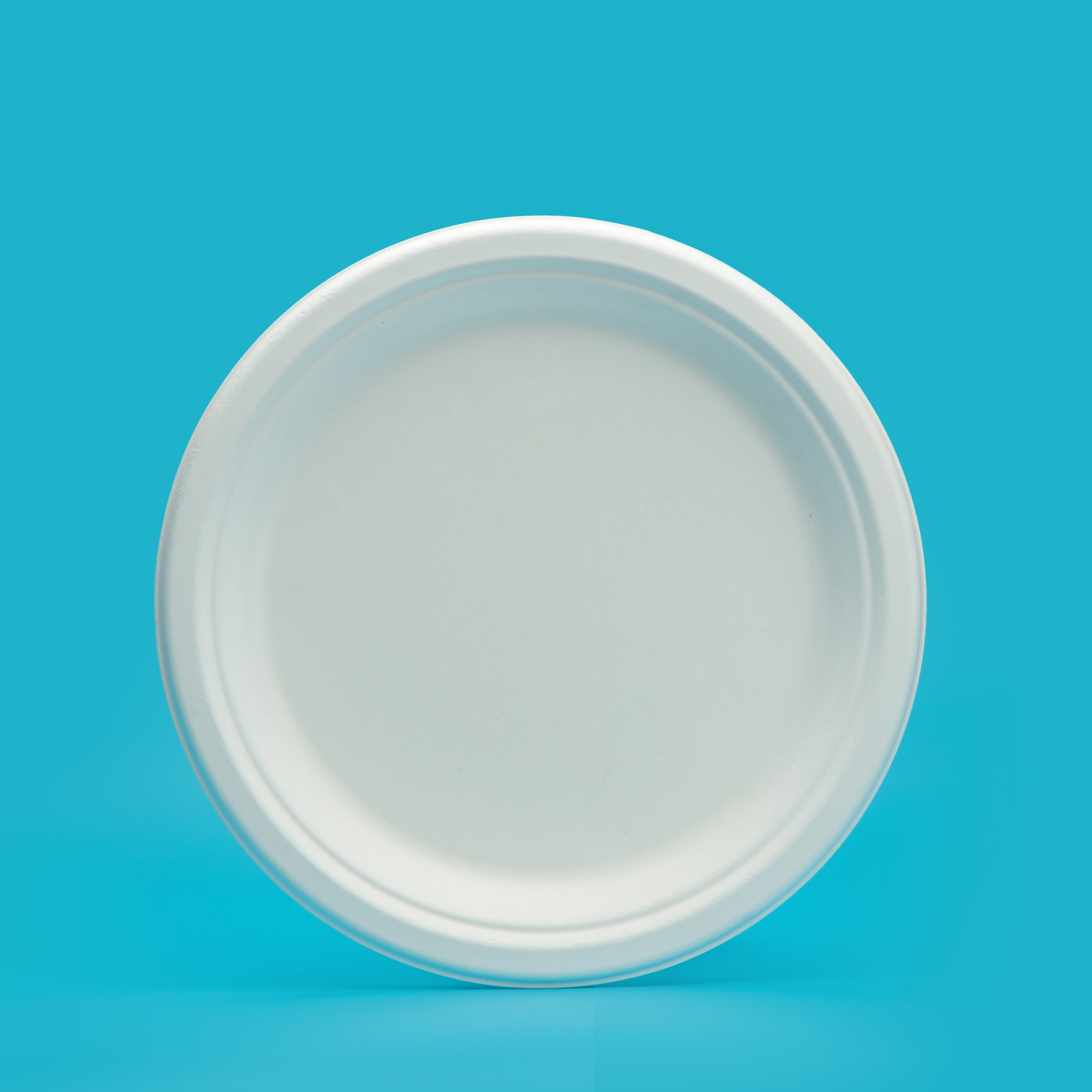 9" round plate