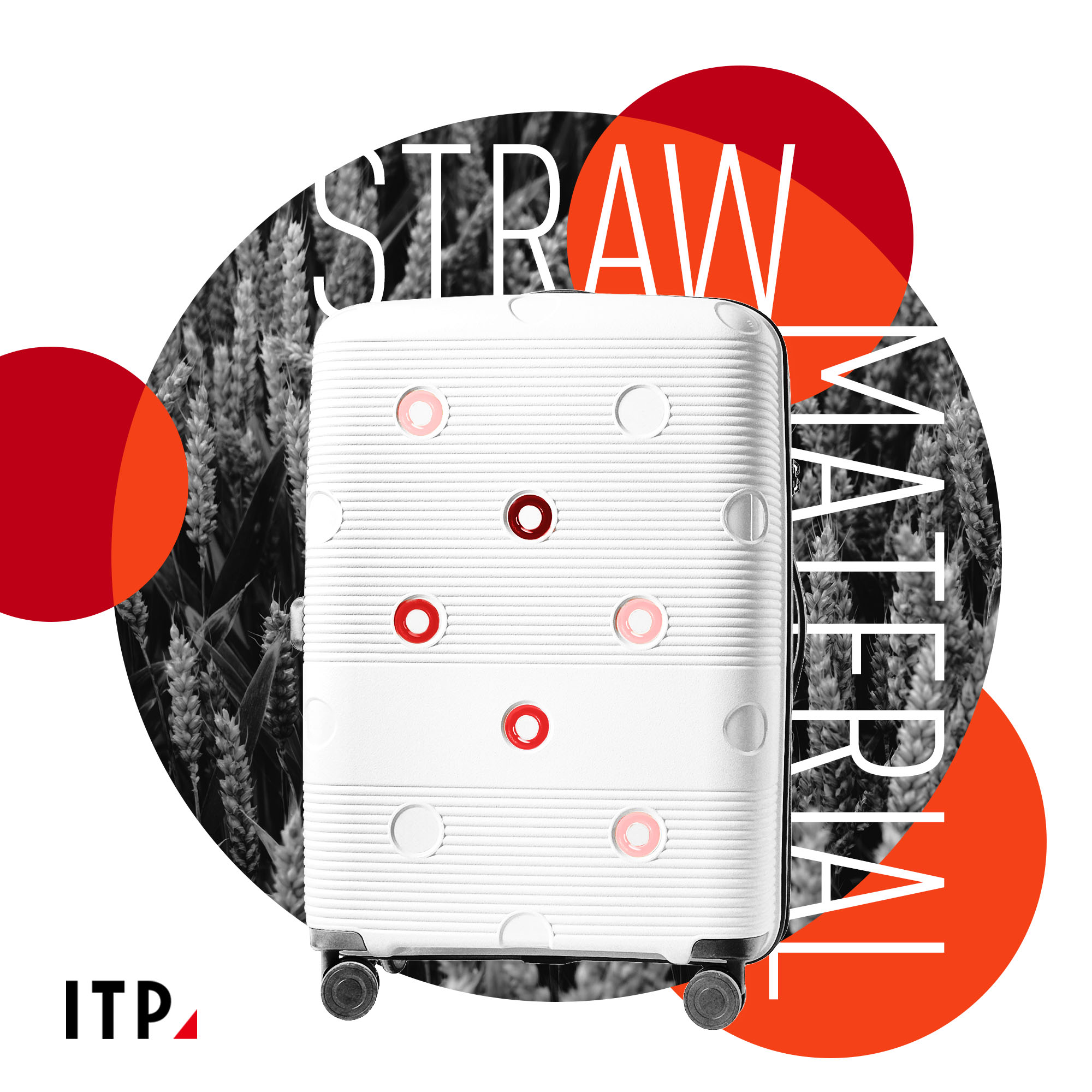 ITP(HEYUAN)LUGGAGE CO.,LTD – zapatos de tacón 2