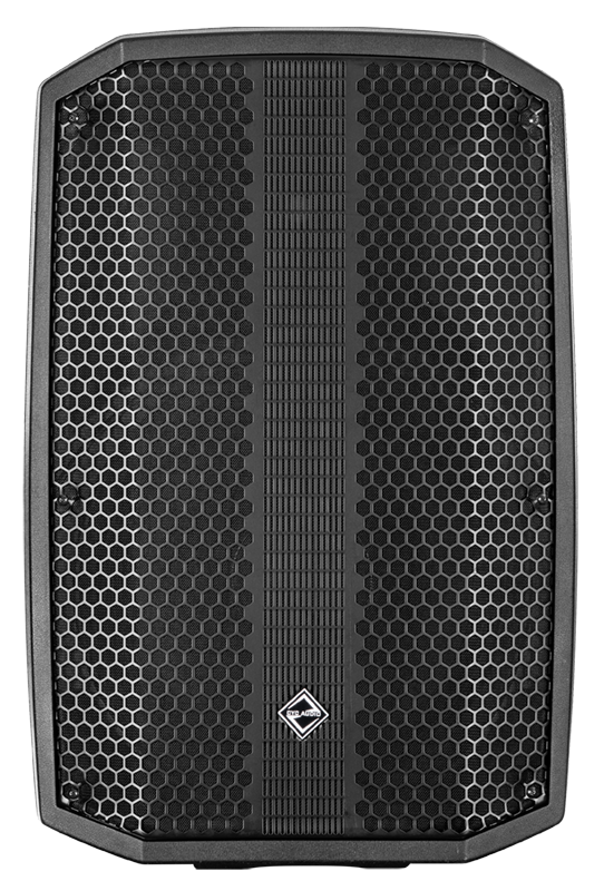 11inch big power proaudio
