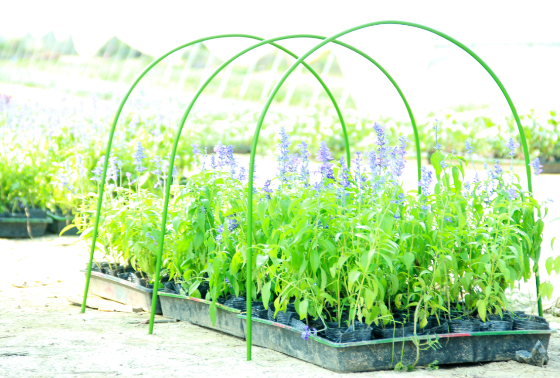 Plastic coated tunnel pipe