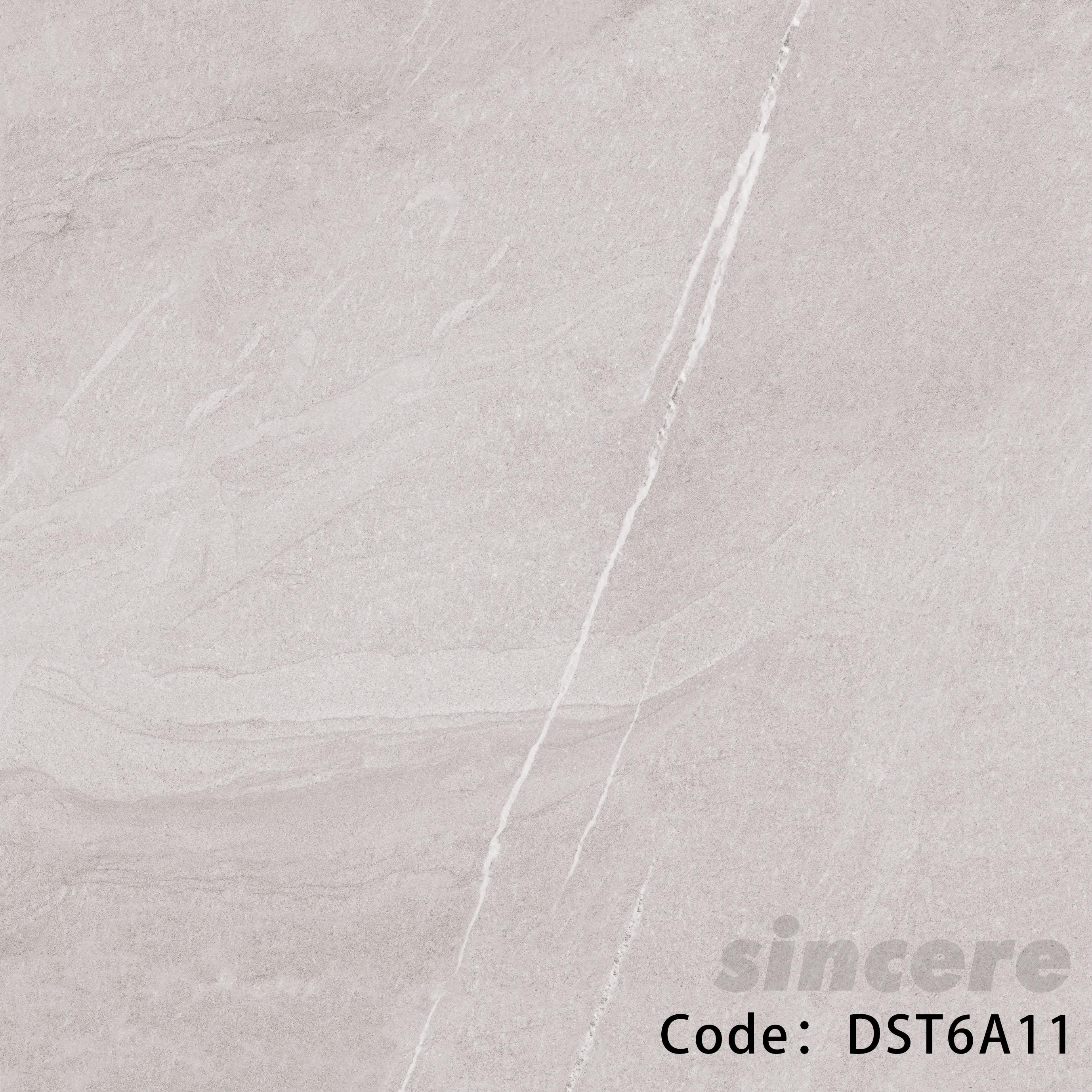 Rustic porcelain tile (full body)