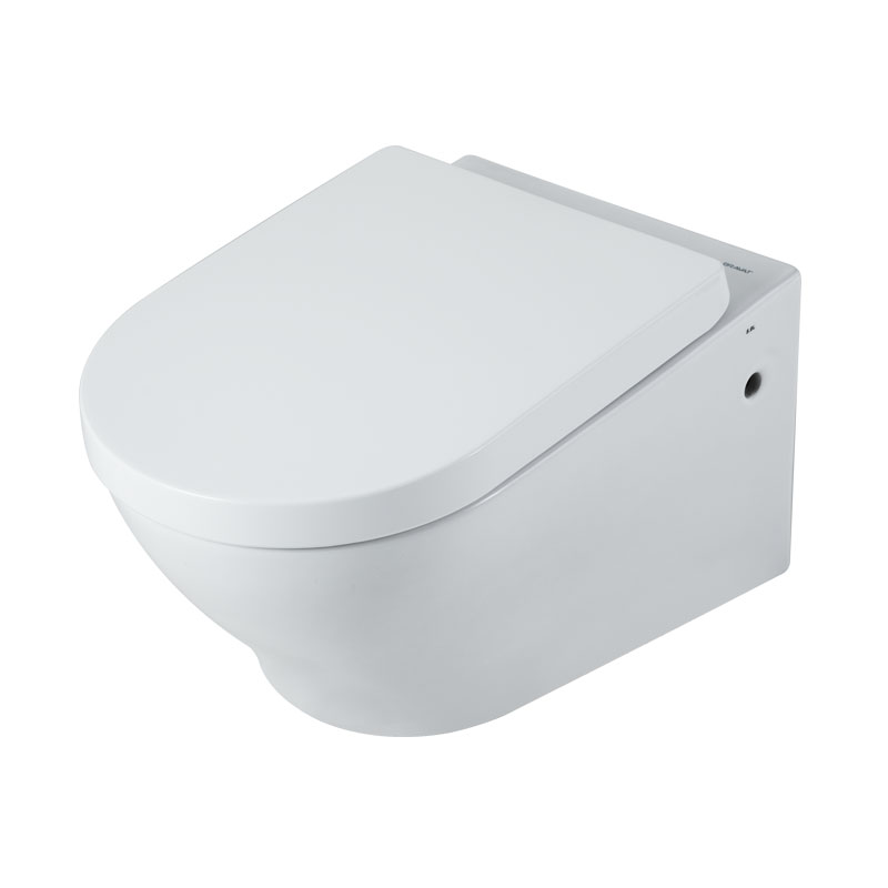 Bravat Wall hung Toilet WC