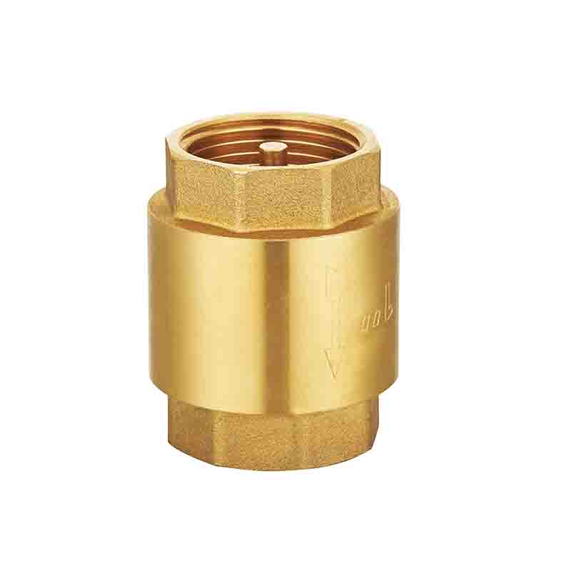 Brass core spring check valve