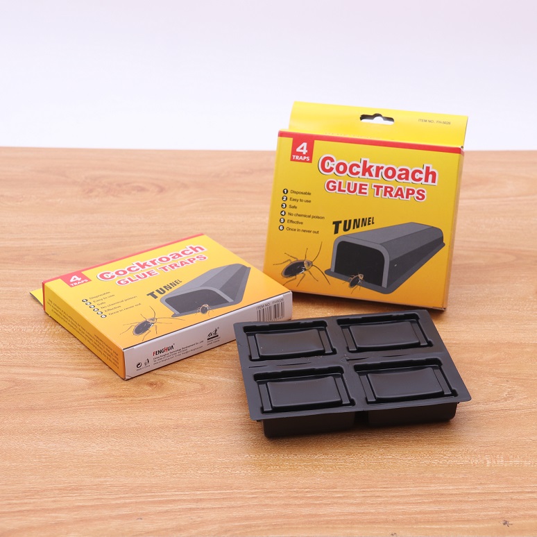 Cockroach