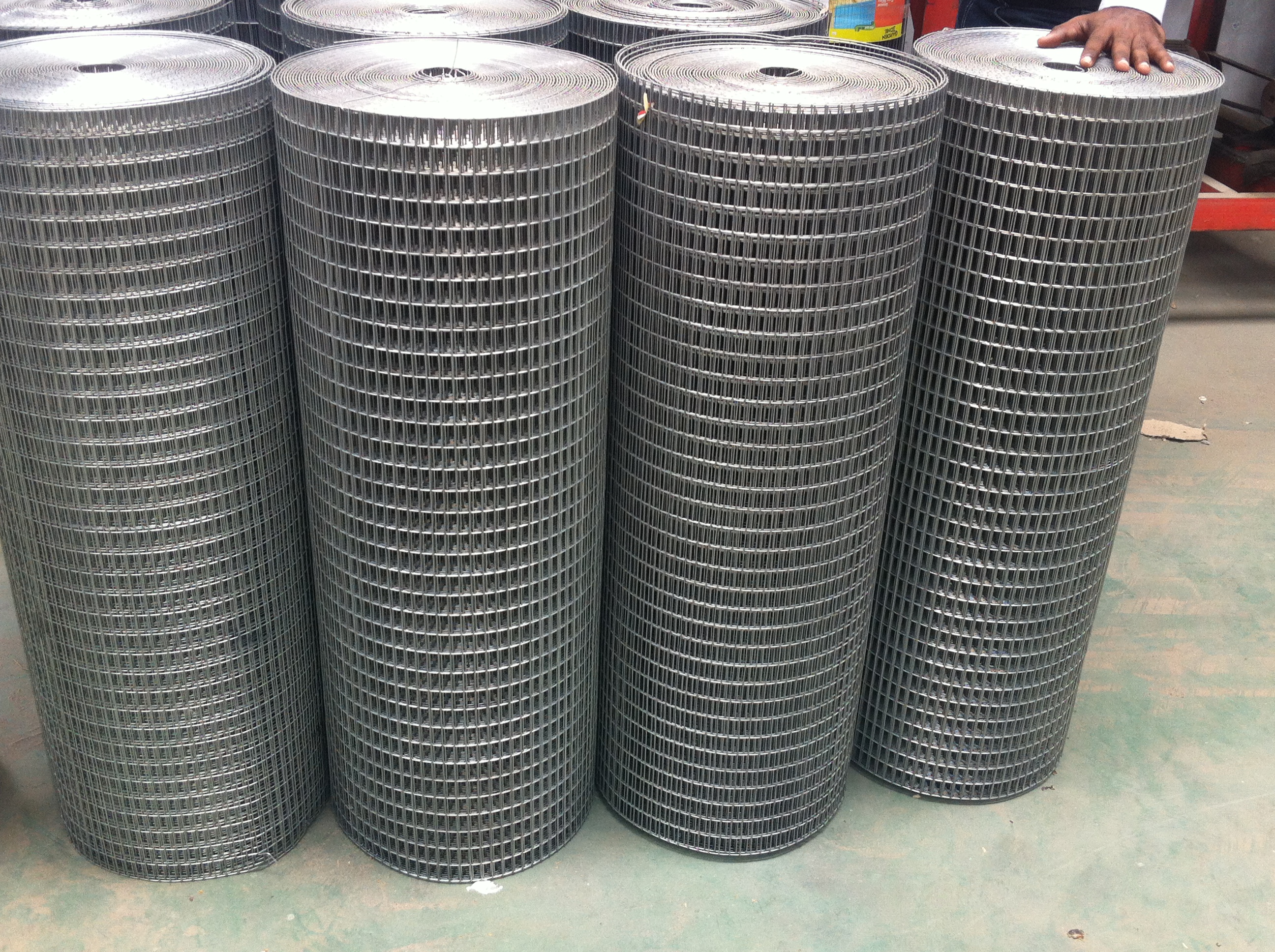 Welded wire mesh