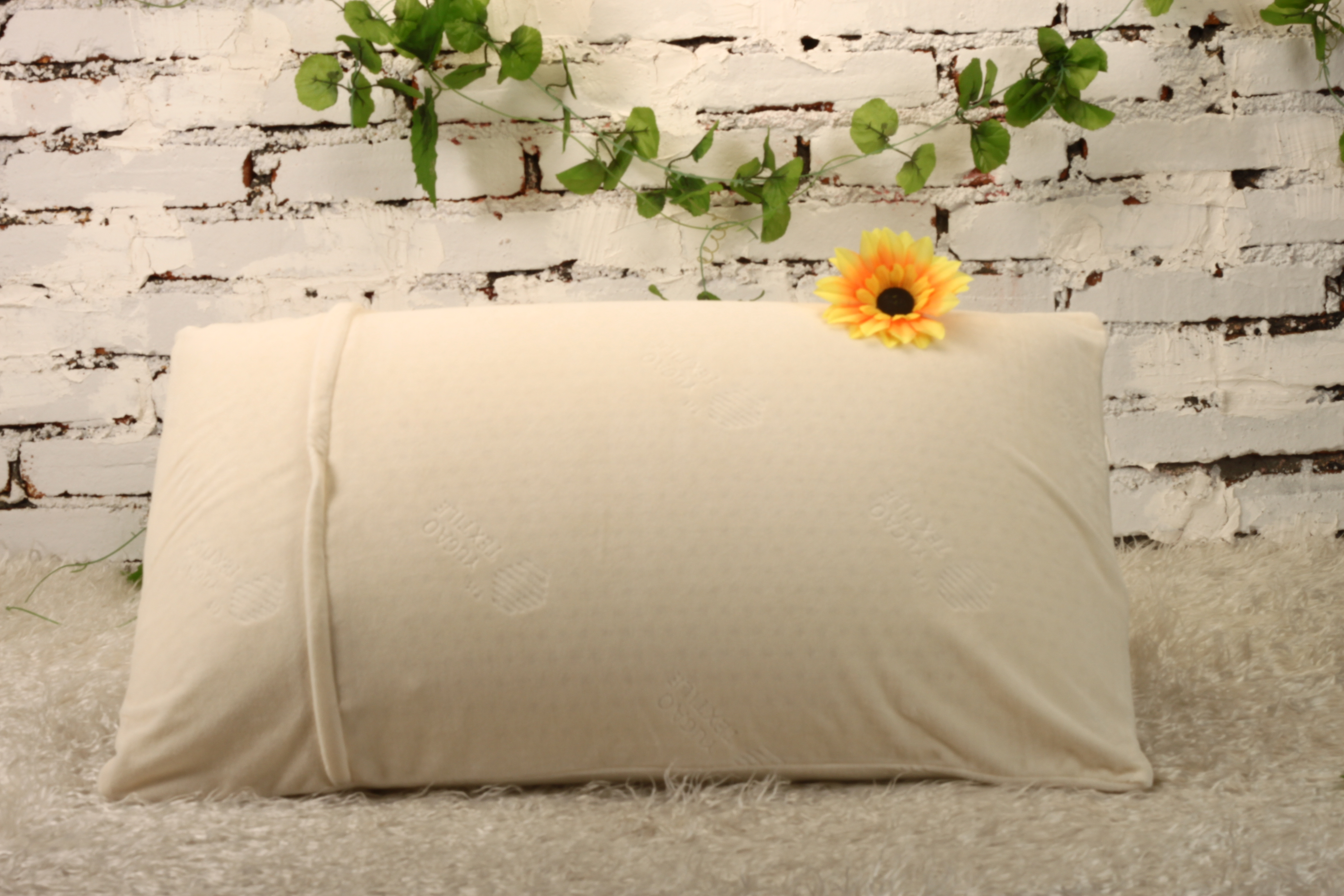 Talalay Thailand QUEEN SIZElatex pillowCM