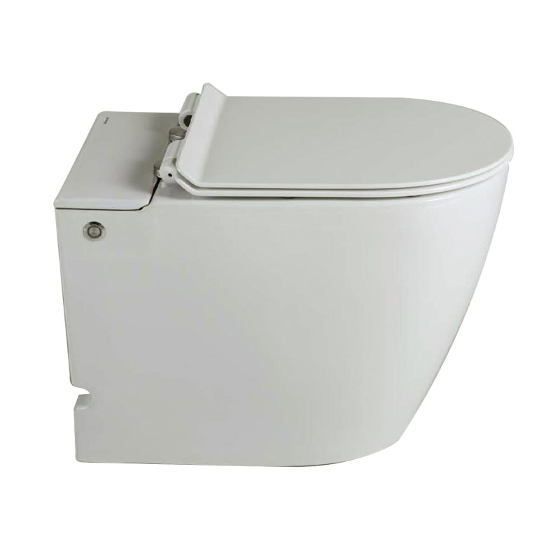 Bravat Electronic Floor Standing Toilet Tankless floor standing intelligent toilet
