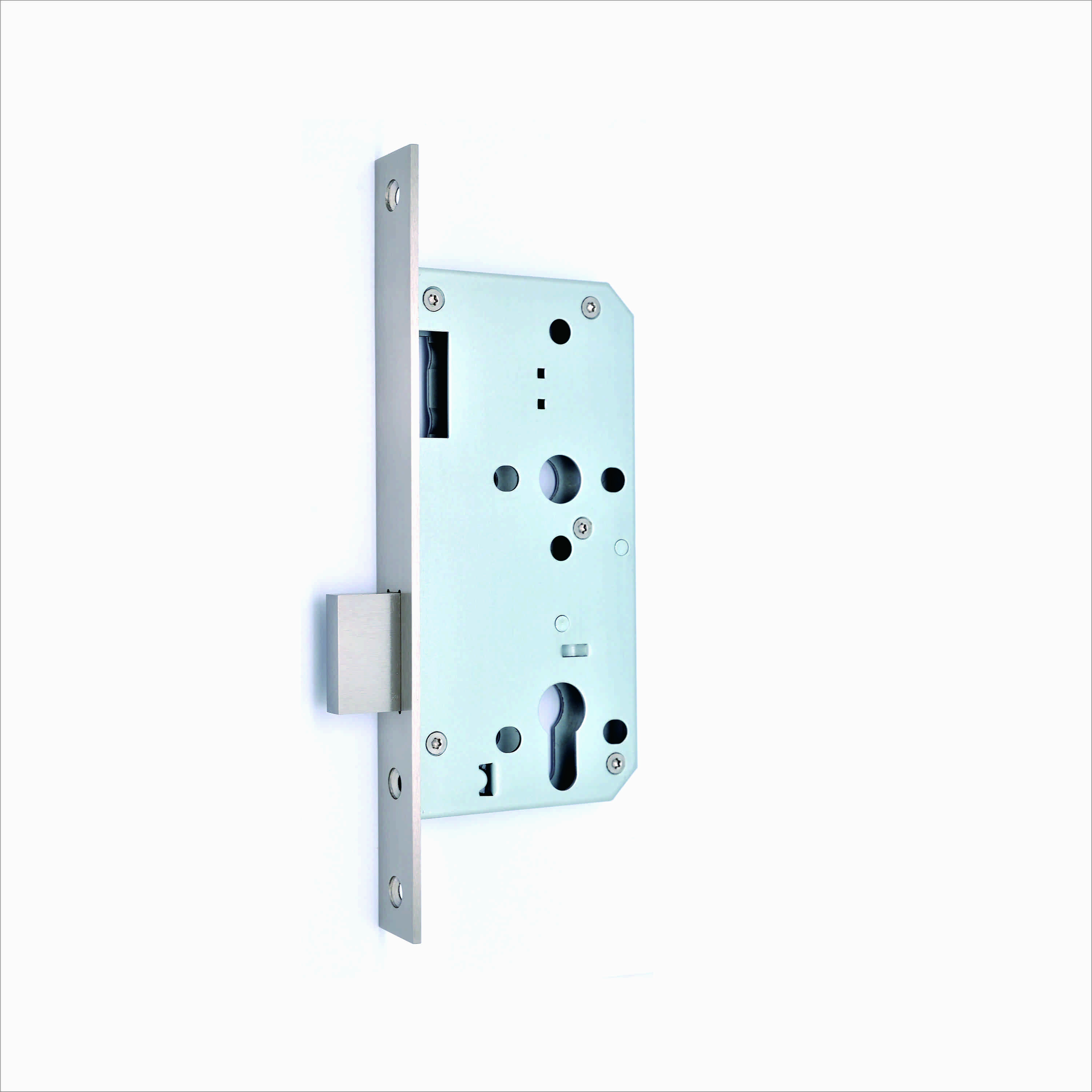 Stainless Steel Fire Proof mortise lock 5572ZD