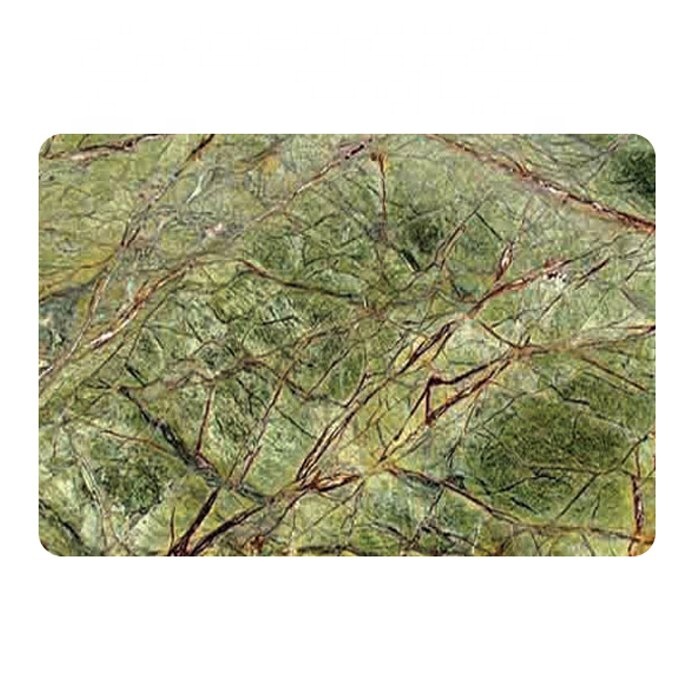 Rainforest Green