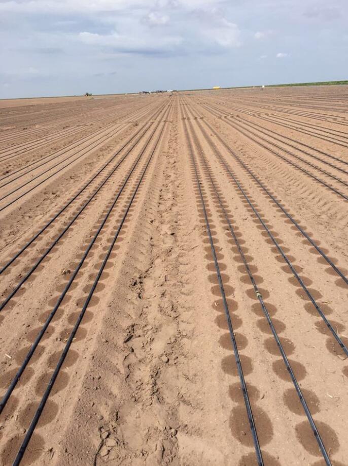 agriculture irrigation system drip tape and accessories