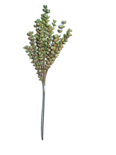 artificial flowers