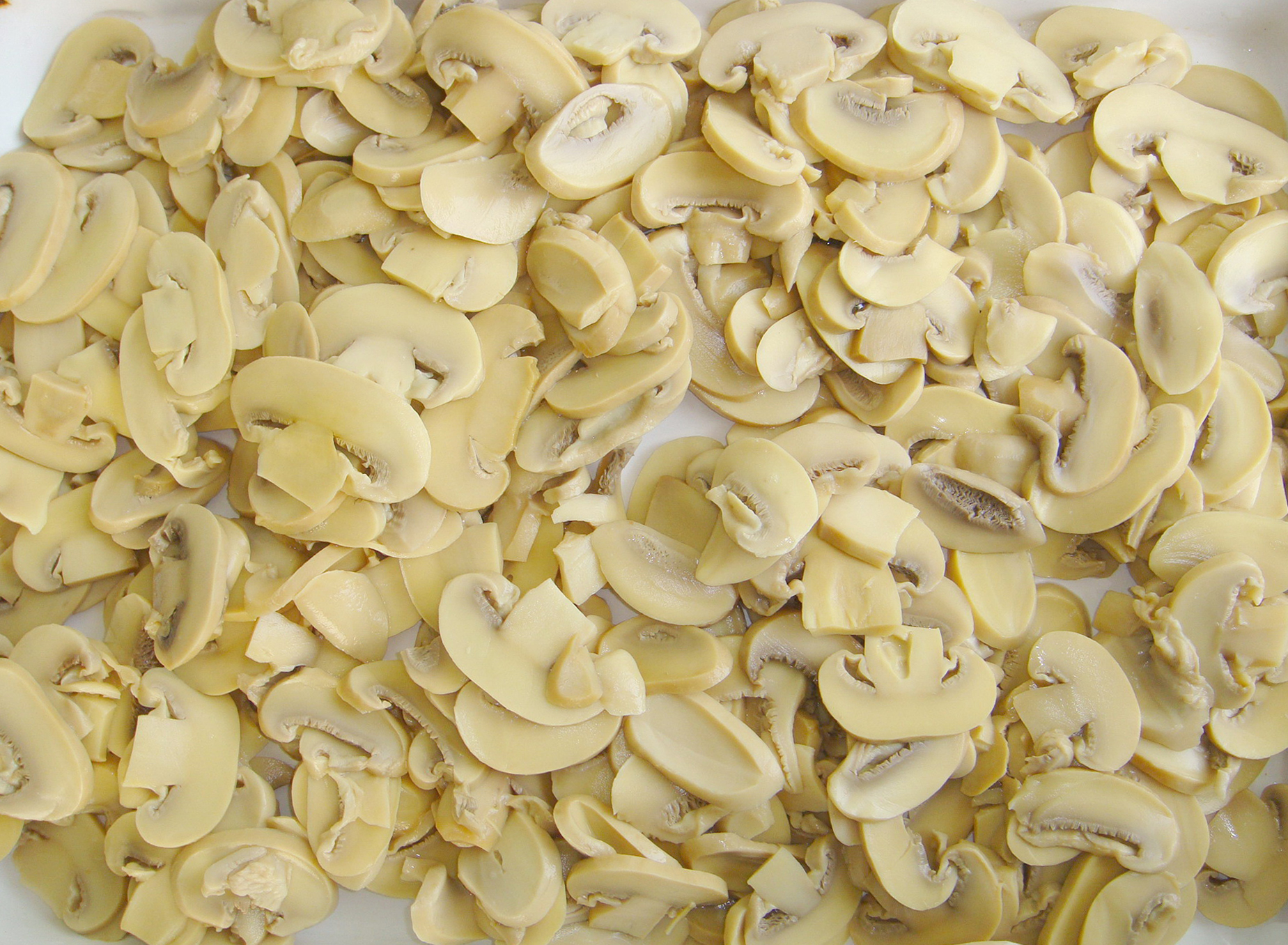 Canned Food Canned Slices Mushroom 2840g