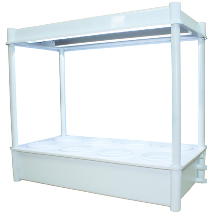 Salad Box with Light