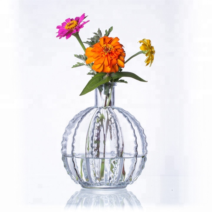 New European style home cactus transparent glass vase hydroponic plant containers decorative flower vase living room ornaments