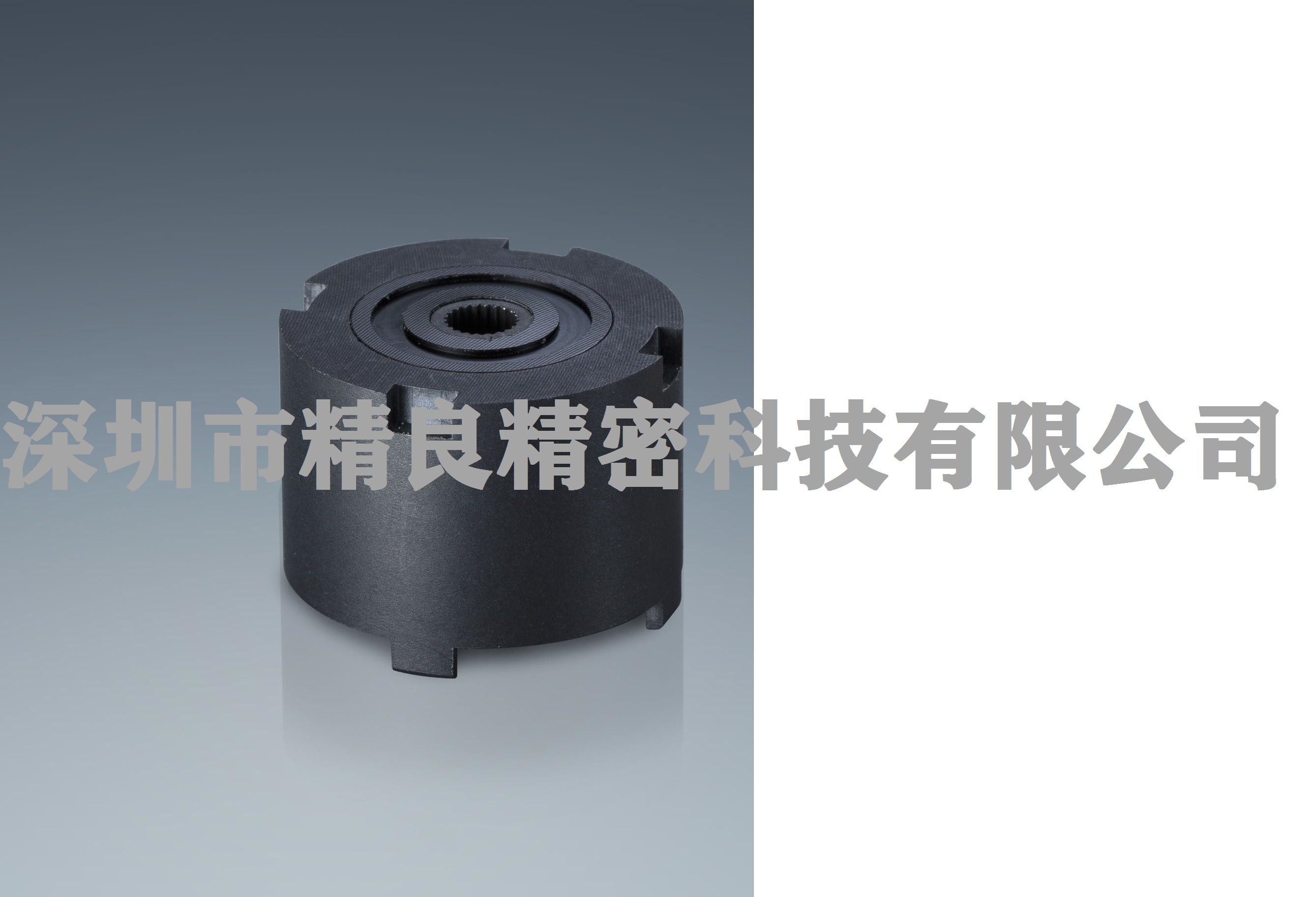 SEIRYO PRECISION TECHNOLOGY CO.,LTD – molde de inyección 1