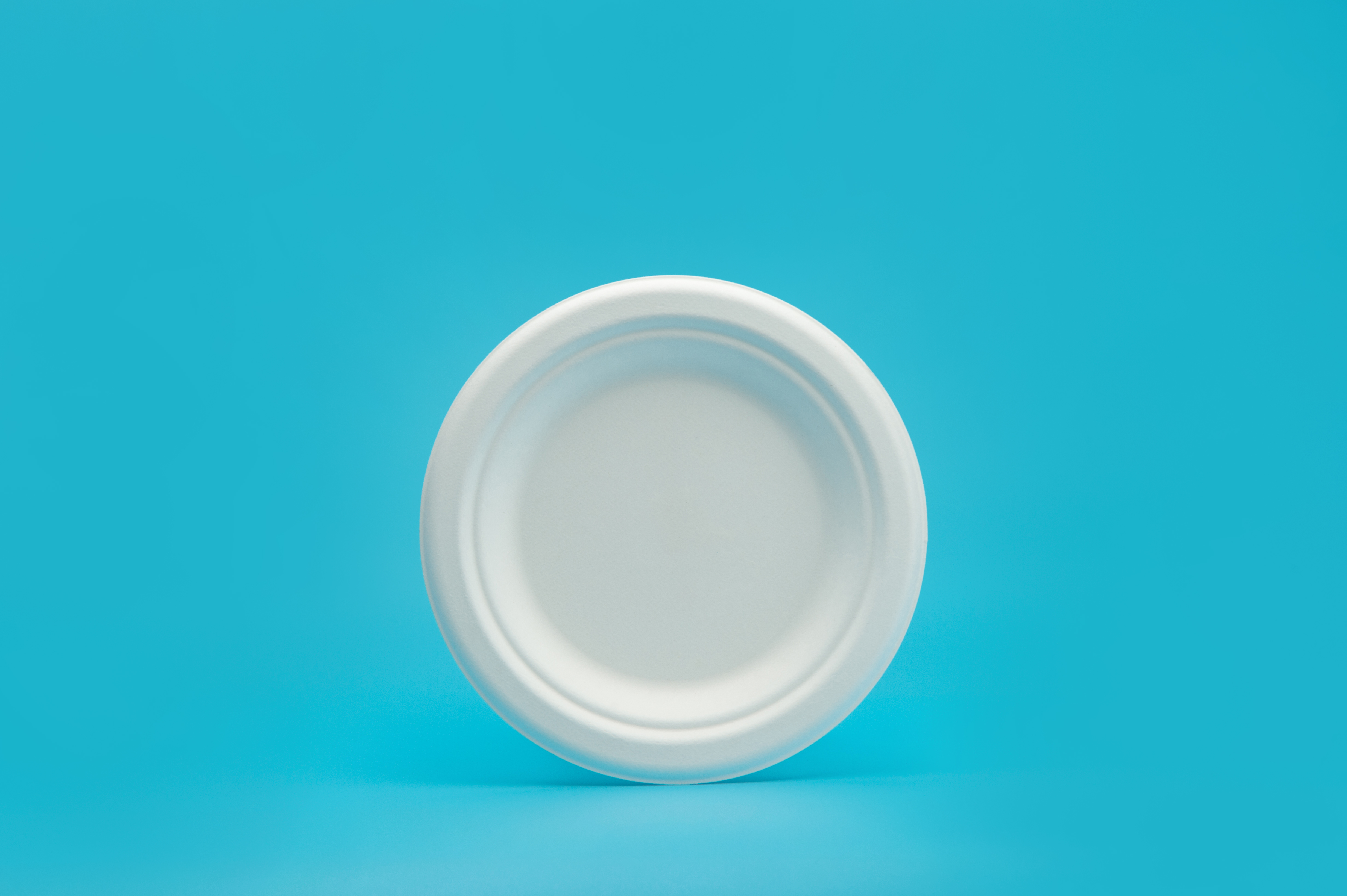 6" round plate