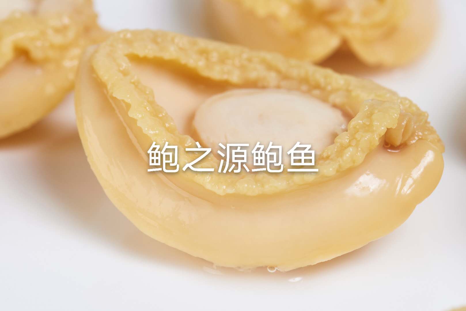 Canned Abalone,whole In Brine