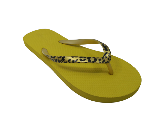 Flip Flop
