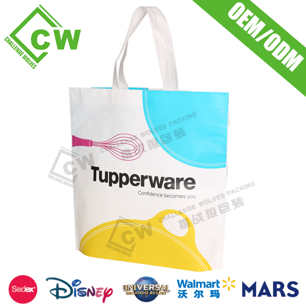 Ultrasonic Shopping Bag