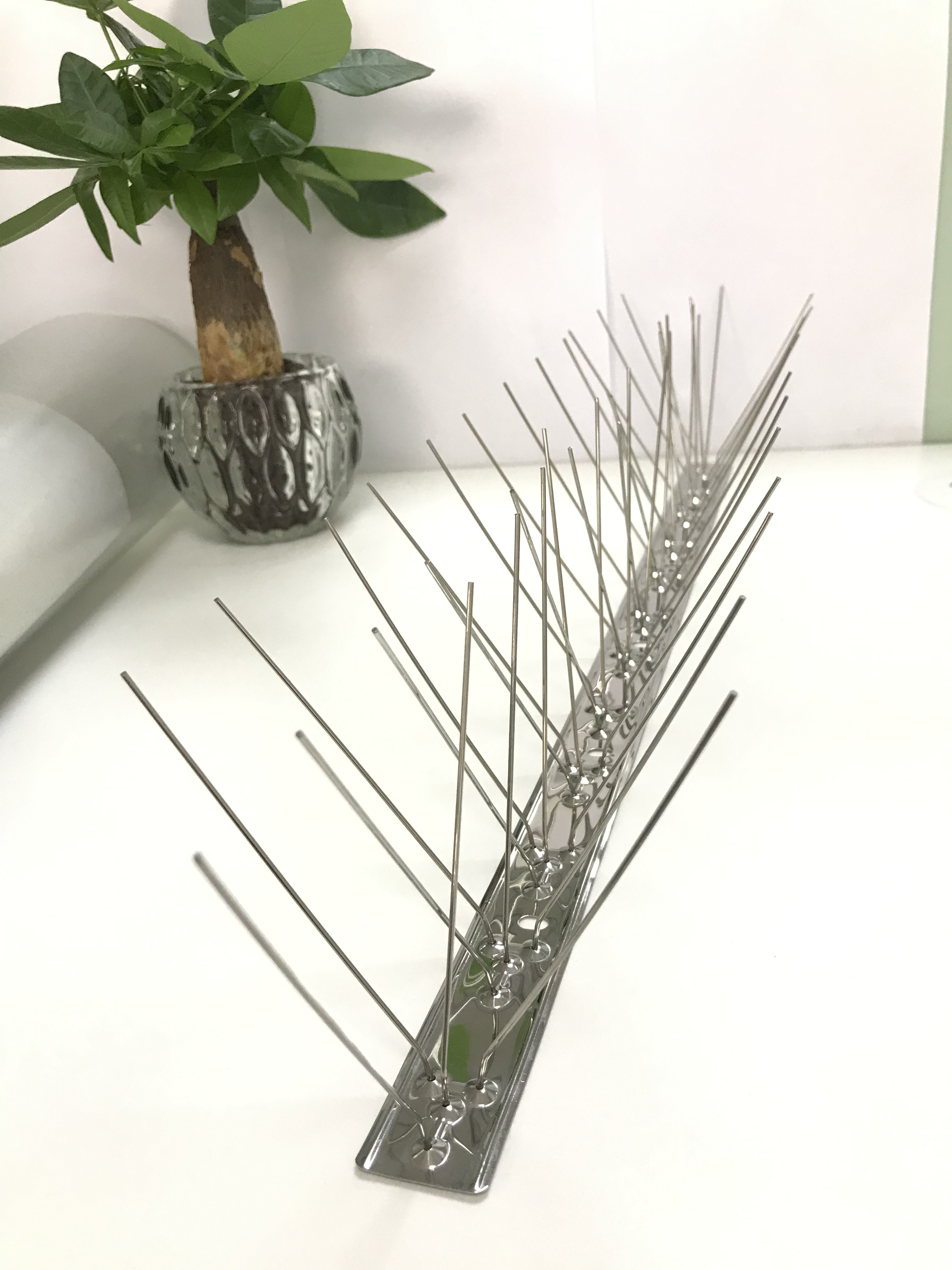 Stainless Steel Bird Spikes