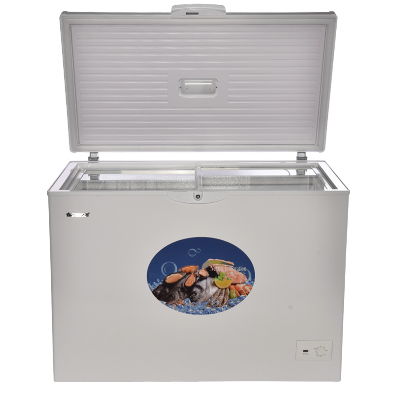Snowsea Chest Freezer-Bd-300a