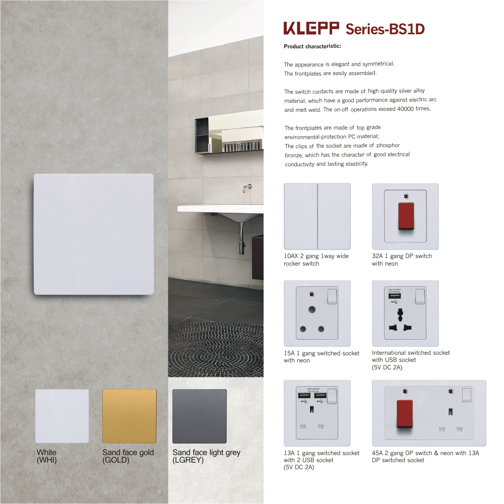 BS1D BS switch and socket