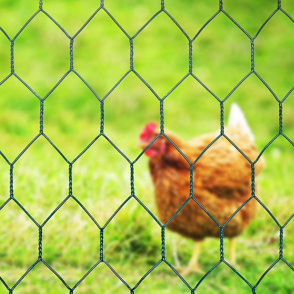 PVC Coated Hexagonal Wire Netting