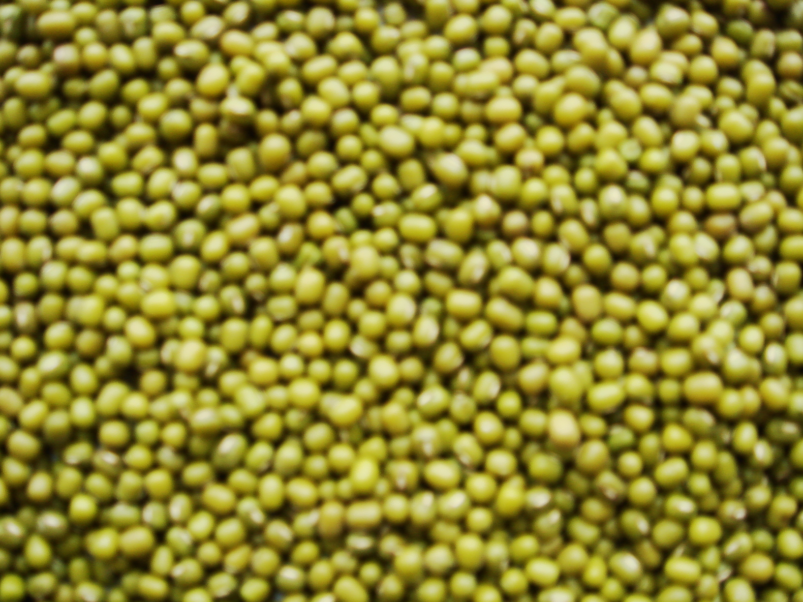 Green Beans Mung Beans