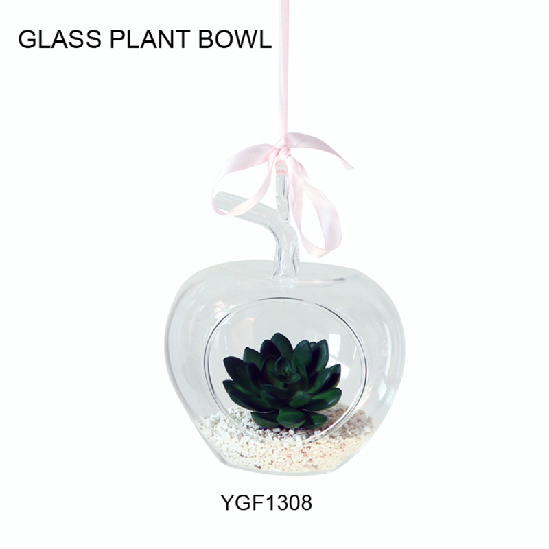 Glass Plant Bowl