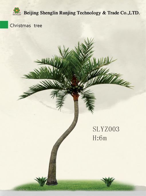 SLYZ003