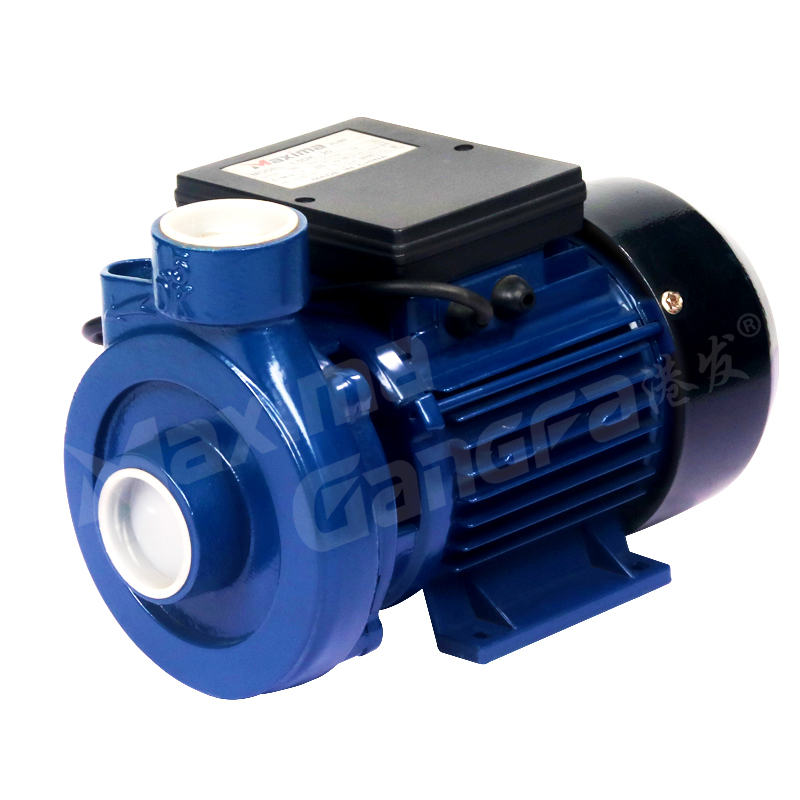 1.5dk-20 Water Pump