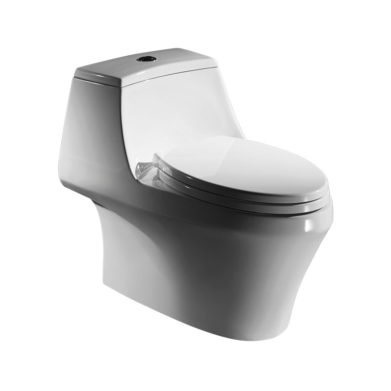 Bravat Floor Mounted One Piece Toilet