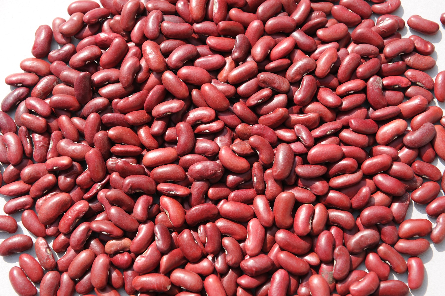 GANSU ZHONGSHIDA INTERNATIONAL TRADE CO., LTD. – colchoneta de yoga 4