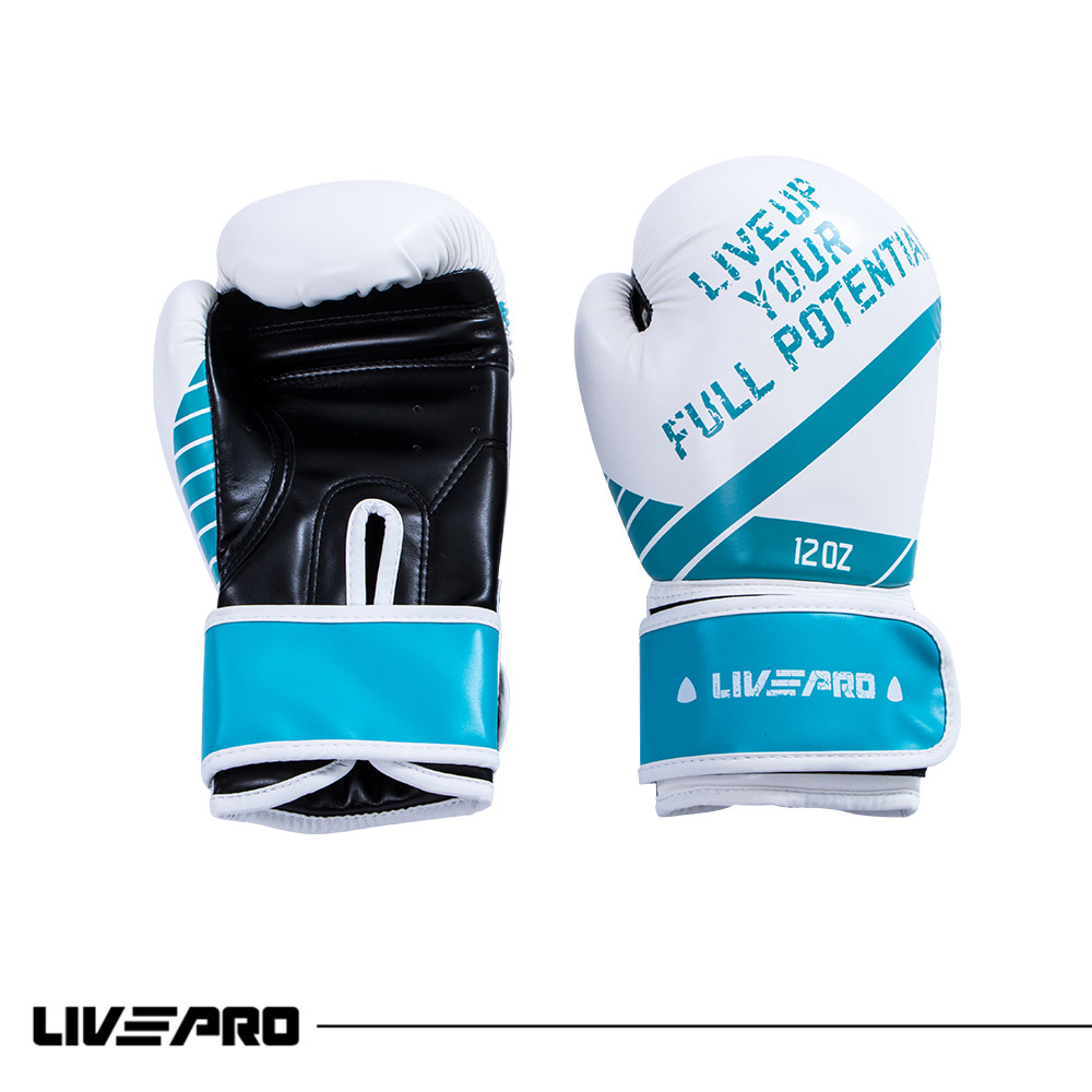 Sparring Gloves