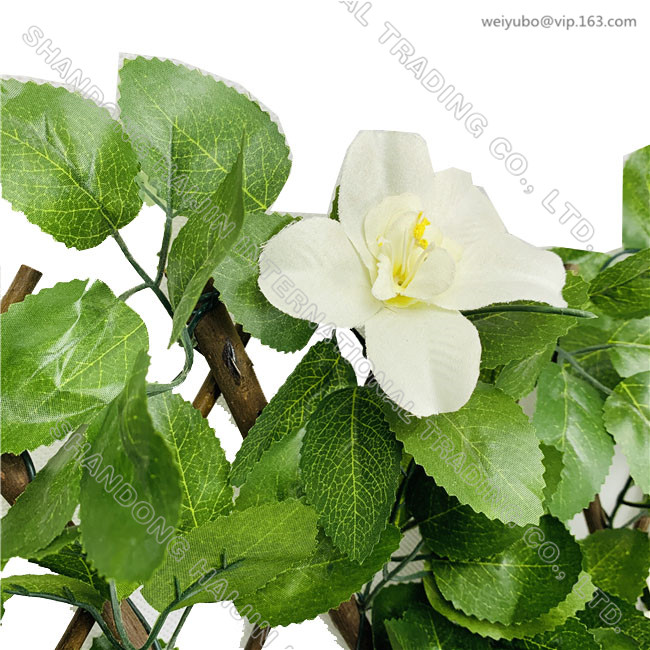 White Clamitis Trellis