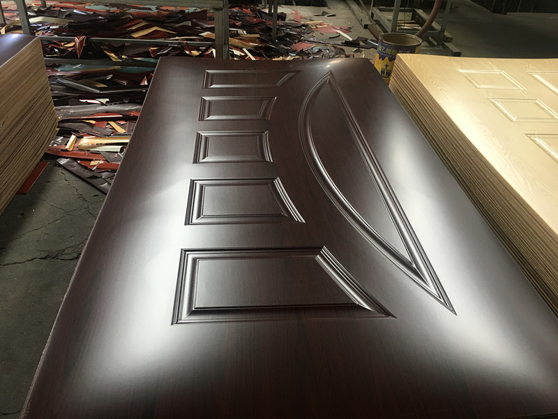 Door Skin