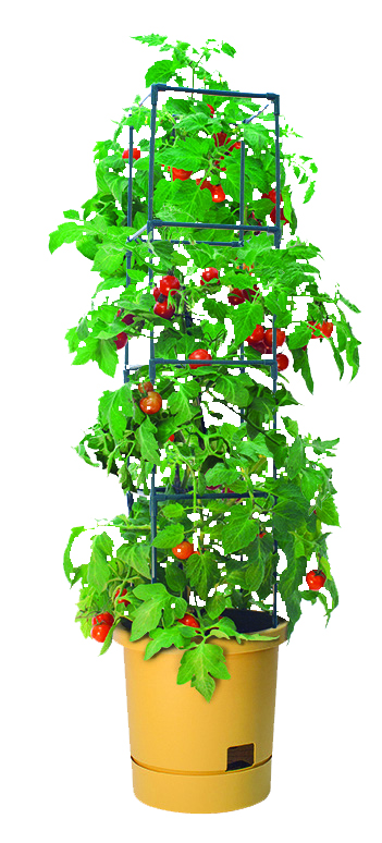 Climbing Tower