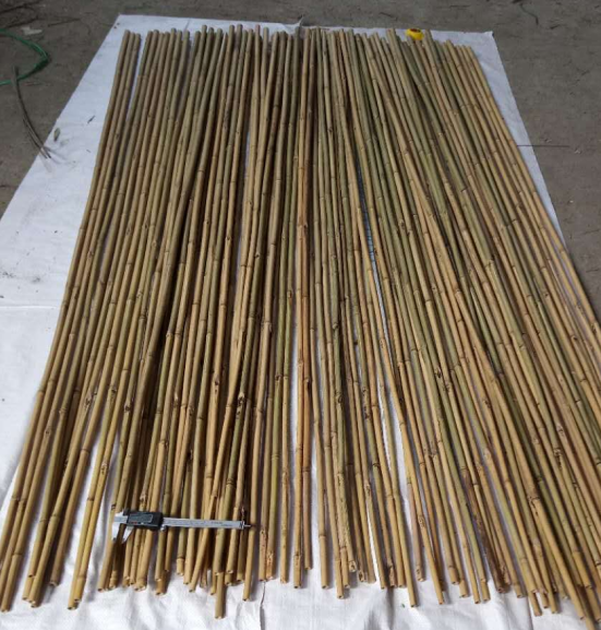 Natural Bamboo canes