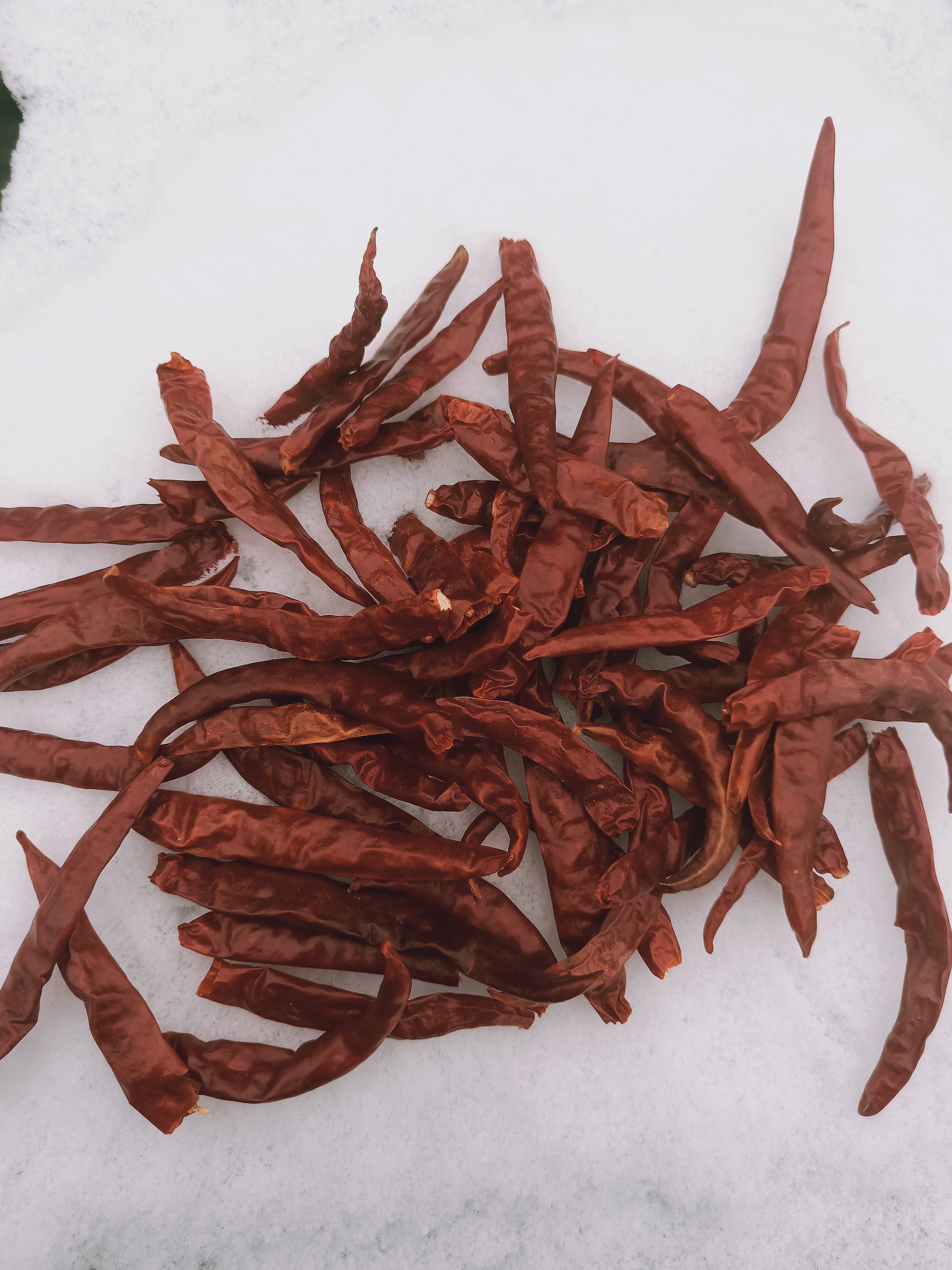 Shangqiu Taikun Import and Export Trading Co., Ltd. – crushed chili 1