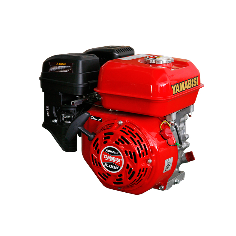 Gasolne Engine Em225-V