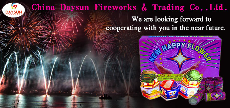 Beihai Dingshun Trading Co., Ltd. – Other gifts and premiums 1